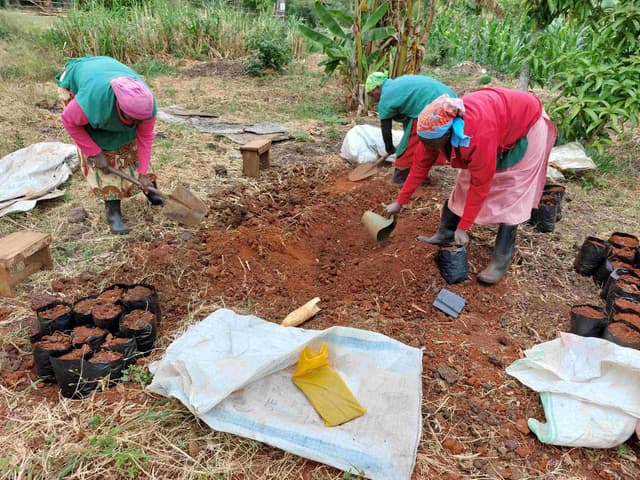 Some of our staff working on the nursery in the bagging stage