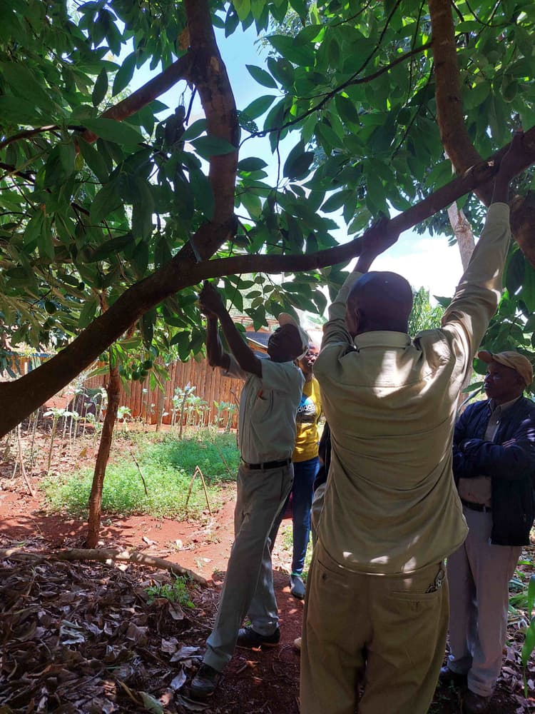 Some of our staff working on the nursery in the bagging stage